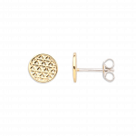 XENOX I Ohrstecker XS2911G